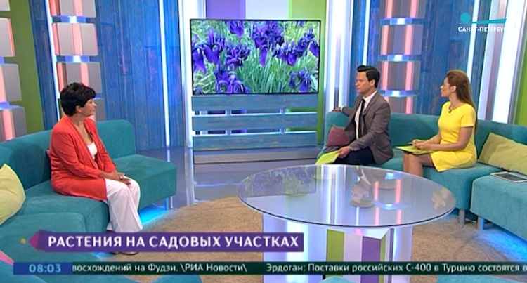 "Хорошее утро!" на телеканале Санкт-Петербург