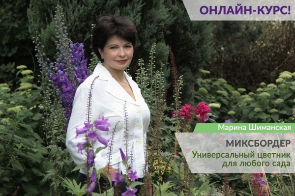 Скидка на онлайн-курс Марины Шиманской