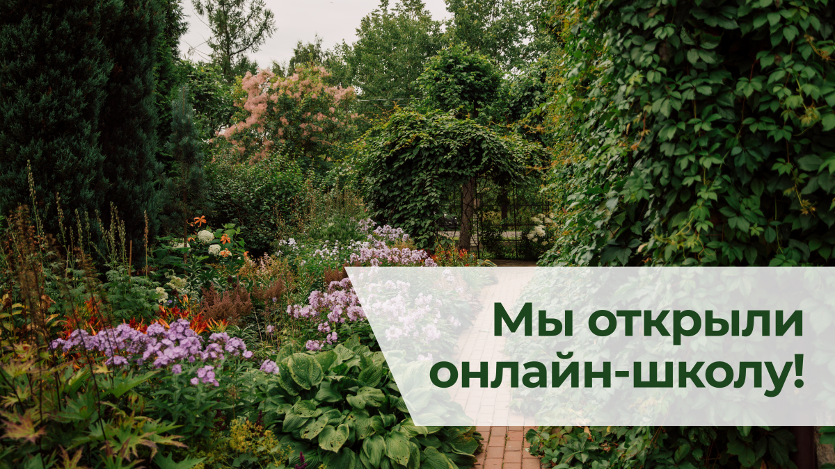 Курс Марины Шиманской "Миксбордер – универсальный цветник для любого сада"